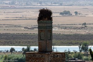 altes Minarett mit Storchennest bei Rabat