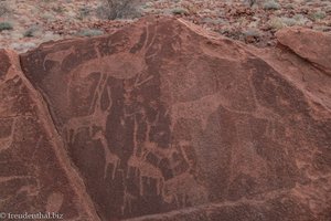 Steingravuren bei Twyfelfontein 