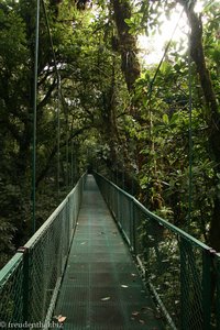 Hängebrücke Nr. 6 im Selvatura Park
