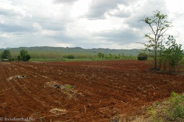 Kwai River - Felderwirtschaft
