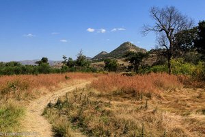 der gemütliche Spazierweg zum Wasserfall des Blauen Nil