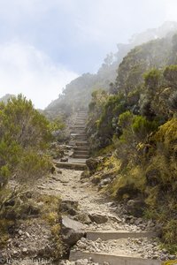 Und noch mehr Treppen zum Piton des Neiges