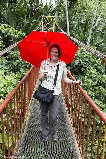 Mittags regnet es oft beim Quindío Botanical Garden.