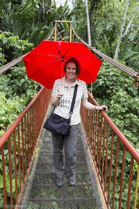 Mittags regnet es oft beim Quindío Botanical Garden.