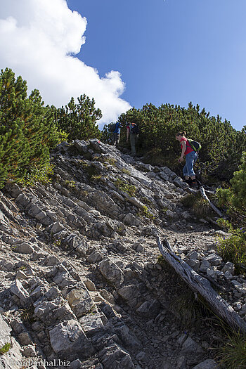 Steil geht es hinauf zum Iseler