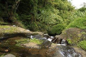 Überlauf der Concord Falls auf Grenada