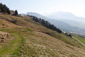Blick zurück zur Alp Walau, Bergweg auf den Mattstock