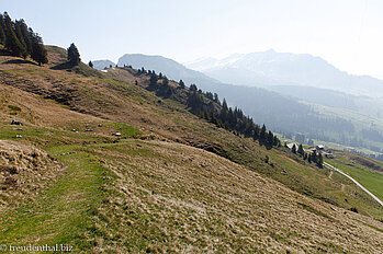 Blick zurück zur Alp Walau, Bergweg auf den Mattstock
