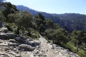 Wanderweg auf den Puig des Teix
