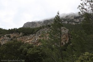 Aussicht zum Puig Caragoli