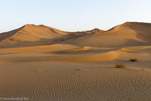 beim Wüstencamp in der Rub al-Khali im Oman
