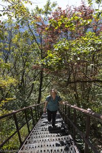 Anne auf der Stahltreppe im Gayasan Nationalpark