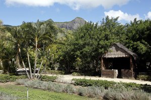 Kräutergarten im Domaine Les Pailles