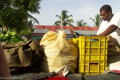 Warensicherung auf einem Lkw in Higüey