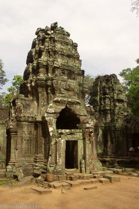 Der Urwaldtempel Ta Phrom bei Angkor in Kambodscha