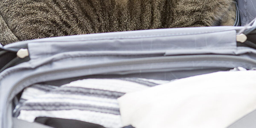 Das ist jetzt mein Koffer. Bleibt zu Hause!