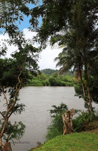 Blick auf den Río San Carlos