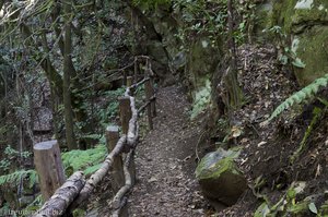 Weg zum Grund des Barranco La Zarza