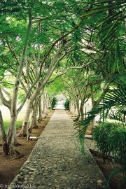 Im Garten der Finca Maria Dolores bei Trinidad