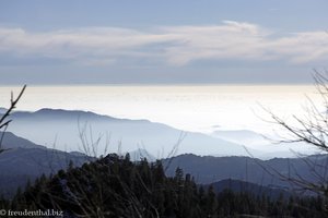 Hochnebel über dem Zentraltal