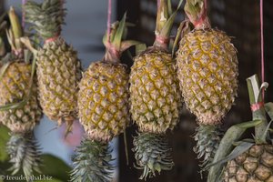 Ananas auf Don Khon in Laos