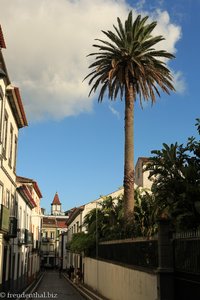 eine der vielen Gassen in Ponta Delgada