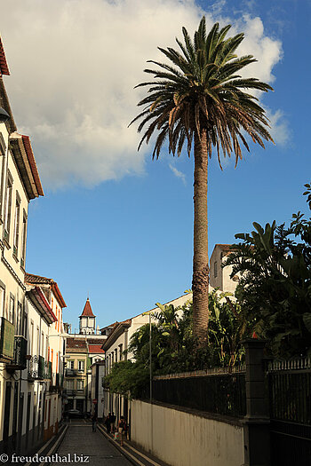 eine der vielen Gassen in Ponta Delgada