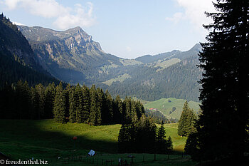 Alm Oberlauelen