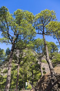 Am Wanderparkplatz La Cumbrecita