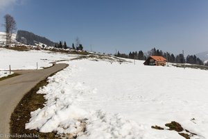 Wanderweg zum Rothenturm und auf den Morgartenberg