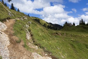 Wanderweg auf den Hochgrat