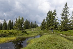 Wannenkopf - eine Landschaft wie aus dem Bilderbuch