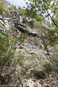 Steilwand am Rand der Schlucht des Bras de la Plaine