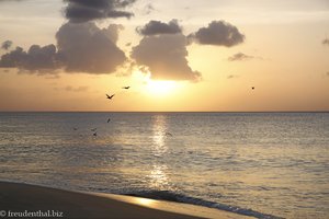 Sonnenuntergang Tobago