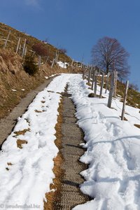 Aufstieg auf den Morgartenberg