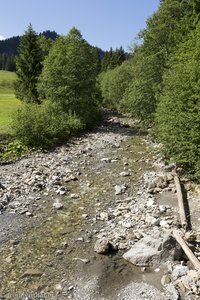 Der Bolgenbach beim Wanderparkplatz an der Riegbergstraße