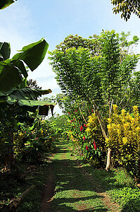 Zuweg zu unserem Farmhaus bei der La Muñequita Lodge