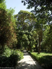 Spazierweg im botanischen Garten von Assuan
