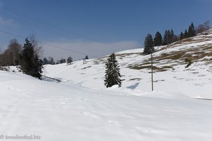 Wanderung auf den Morgartenberg