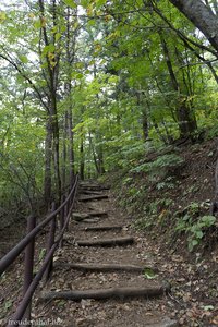 Wanderweg im Odaesan Nationalpark