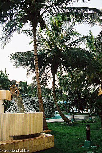 Blick von der Terrasse in den Garten des Oasis las Morlas