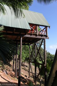 Die Mango Lodge im Steilhang