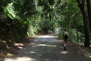 Weg von der Bushaltestelle zum Strand am Anse Lazio