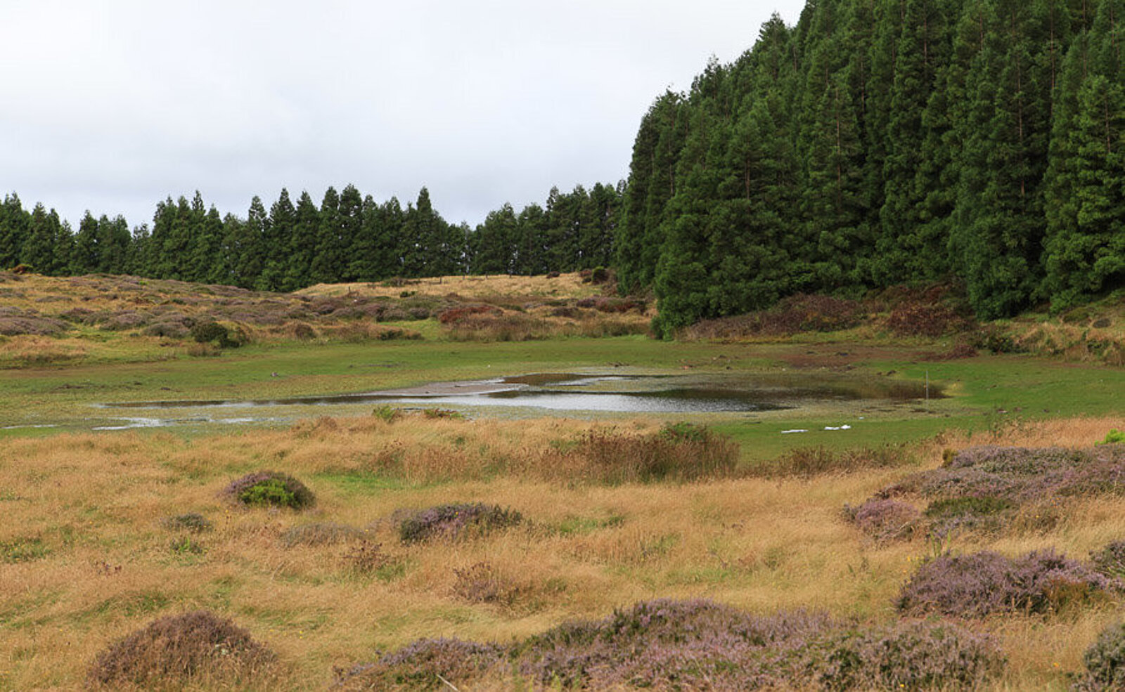 Wanderung zu den Mistérios dos Negros auf der Azoreninsel Terceira 
