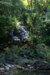 noch ein kleiner Wasserfall im Khao Sok Nationalpark
