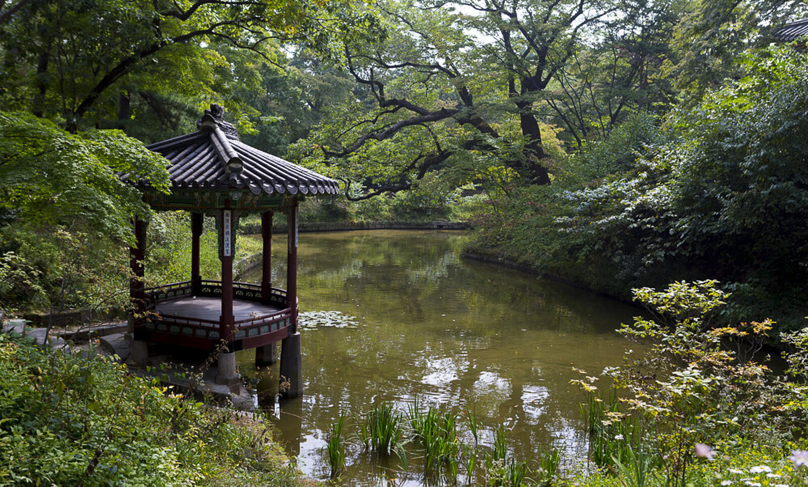 Pavillon an einem Teich im Geheimen Garten des Changdeokgung in Seoul