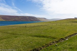 Trondra auf der Insel Burra