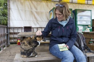 Anne und eine Katze im Kimnyoung Maze Park