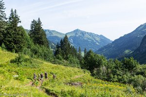 Blick über die Bärguntalpe