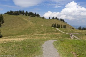 Weg zum Edelsberg